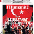 14 hum (2).jpg
